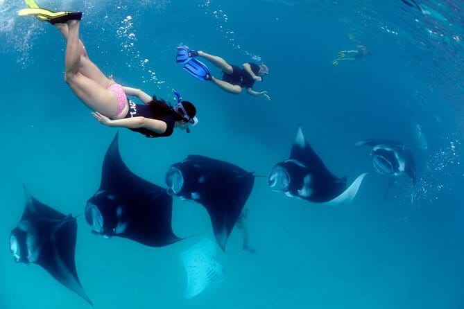 Blue Lagoon Snorkeling with Lunch and Private Transport - Lunch Included: Fuel for a Short, Active Trip