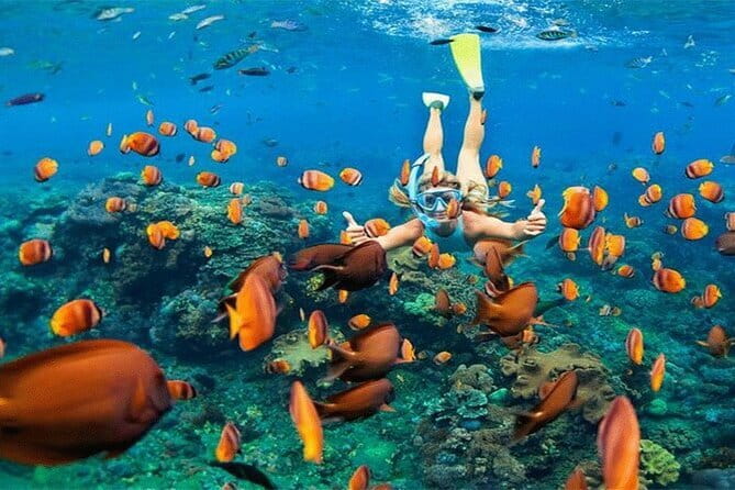 Blue Lagoon Snorkeling with Lunch and Private Transport - What Is Included, What Is Not, and How to Pack Smart