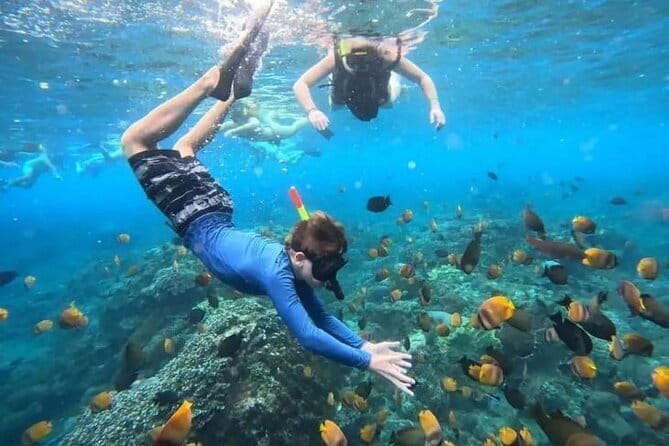 Blue Lagoon Snorkeling with Lunch and Waterfall in Ubud - Key things I’d book this for