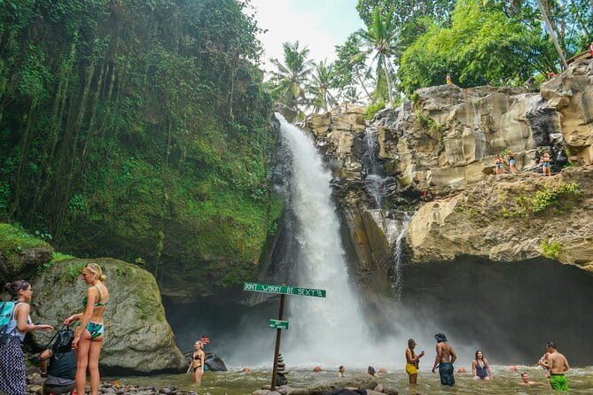 Blue Lagoon Snorkeling with Lunch and Waterfall in Ubud - Price and value: what you get for $50 per person