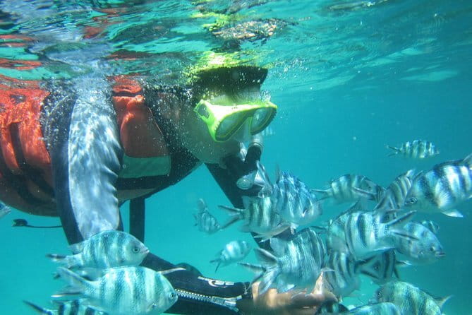 Blue Lagoon Snorkeling with Lunch and Waterfall in Ubud - Blue Lagoon snorkeling in Ceningan: timing, boat transfers, and what to expect