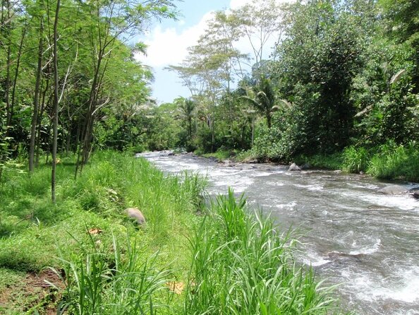 BMW Bali Rafting + Flying Fox at Telaga Waja River (LESS STAIRS) - Key highlights worth knowing