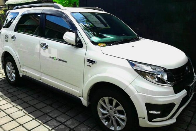 Car charter in Bali with English Speaking Driver - Why a Private Driver Works Better Than Scooter Chaos in Seminyak
