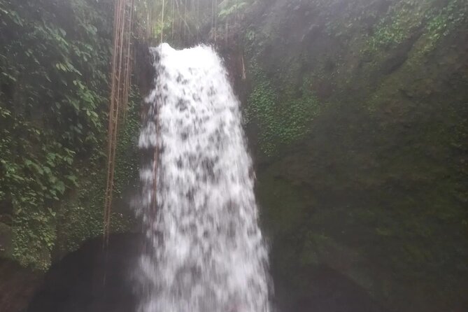 CRETYA Ubud infinity Pool + Hidden Water fall + Water Temple Tour - Manuaba Waterfall: Getting Wet on a More Local Path