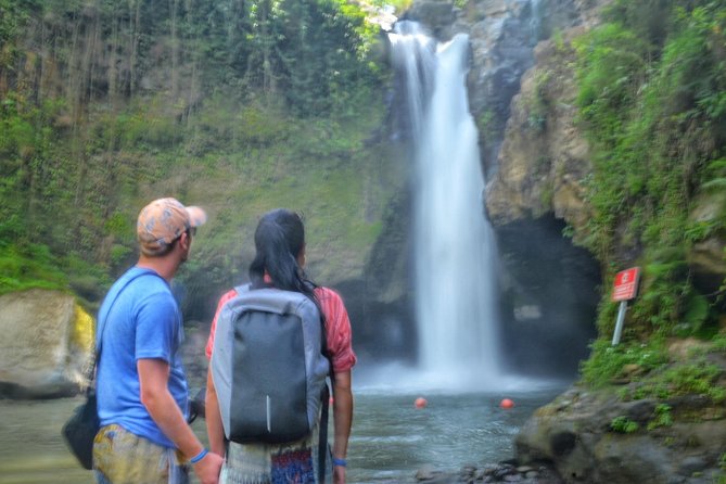 Cretya Ubud Tours - The driver and guide difference, from safe rides to helpful extras