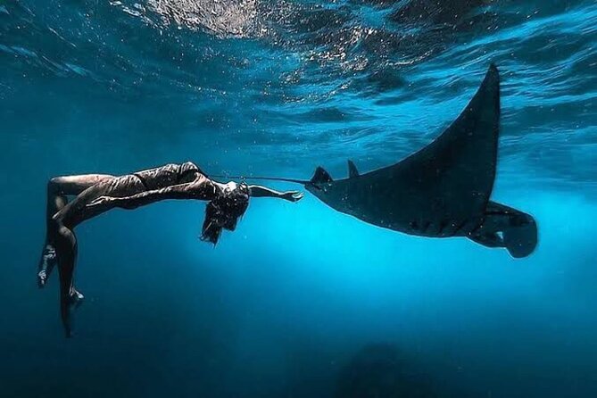 Day Trip: Nusa Penida Snorkling - Key Points You Should Know