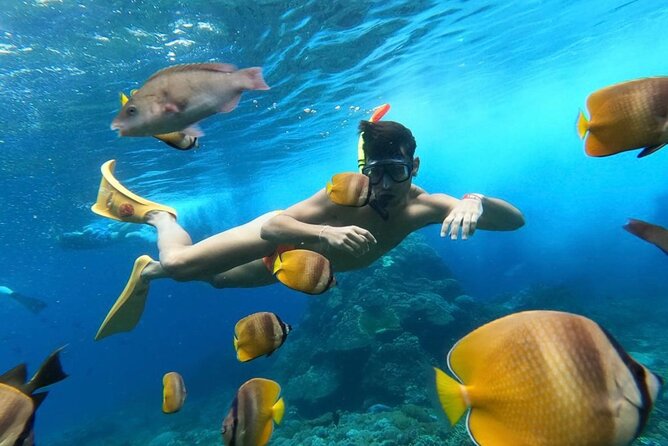 Day Trip: Nusa Penida Snorkling - Nusa Penida Day Trip From Seminyak: Why This Route Fits a Single Day