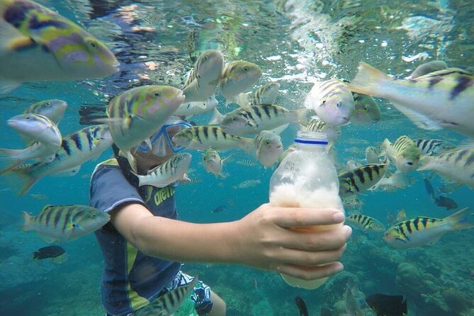 Day Trip: Nusa Penida Snorkling - Lunch With Island Views: A Break That Makes the Afternoon Easier