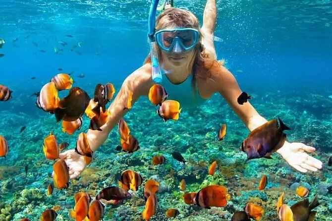Day Trip: Nusa Penida Snorkling - Snorkeling at Manta Point, Crystal Bay, and Gamat Bay: The Real Heart of the Day