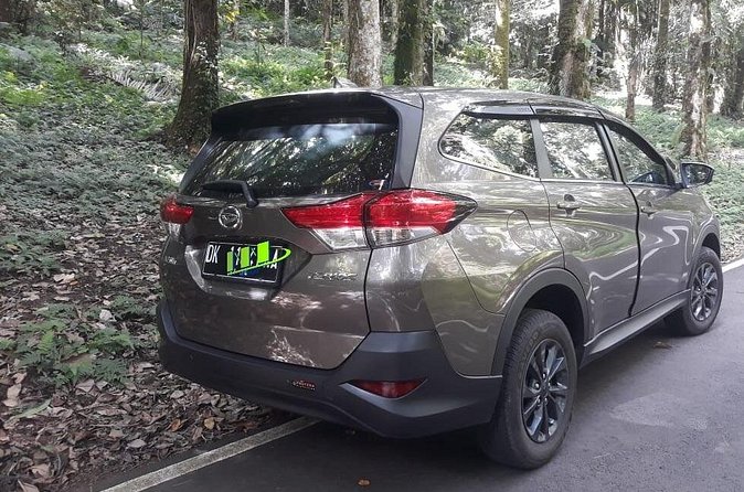 Departure Transfer from Seminyak, Kerobokan to Bali Airport (DPS) - Getting dropped at DPS: the included airport help you might forget to budget