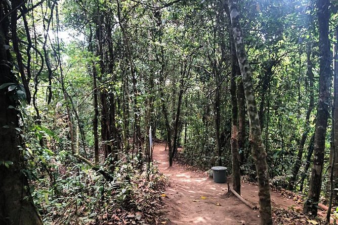 Design Your Own Bali Tour - Why This Bali Tour Feels Different Than a Fixed Schedule