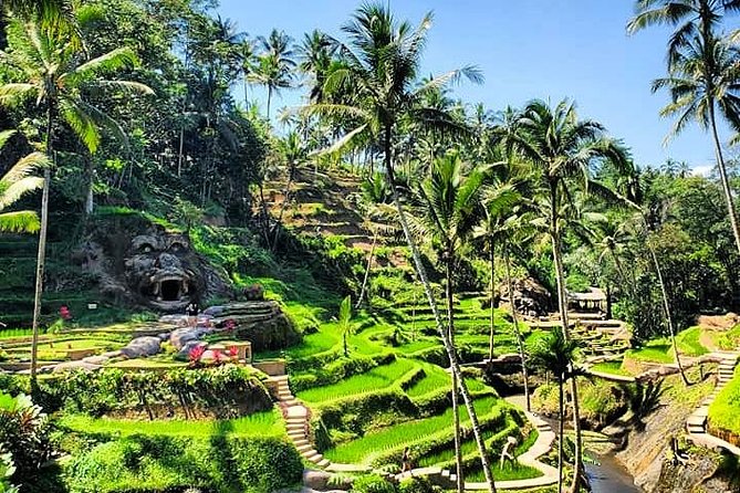 Design Your Own Bali Tour - What Good Service Looks Like Inside the Car