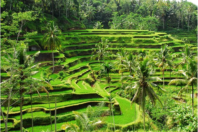 Discover Ubud: 2 Days Ubud Private Tour - Price and logistics: what $130 per person really covers