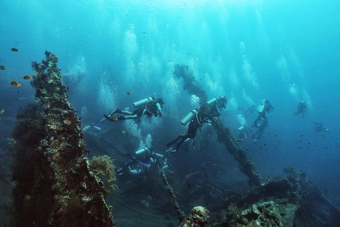 Dive at Tulamben Bali USS Liberty Ship Wreck - Why the USS Liberty wreck works for most certified divers