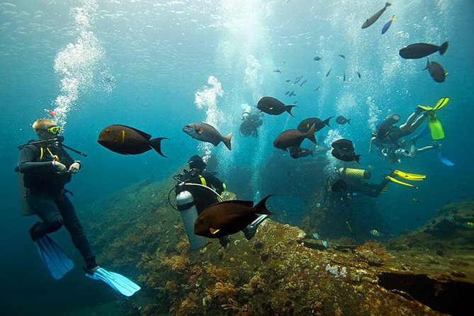 Dive at Tulamben Bali USS Liberty Ship Wreck - Two underwater sessions on the USS Liberty wreck site