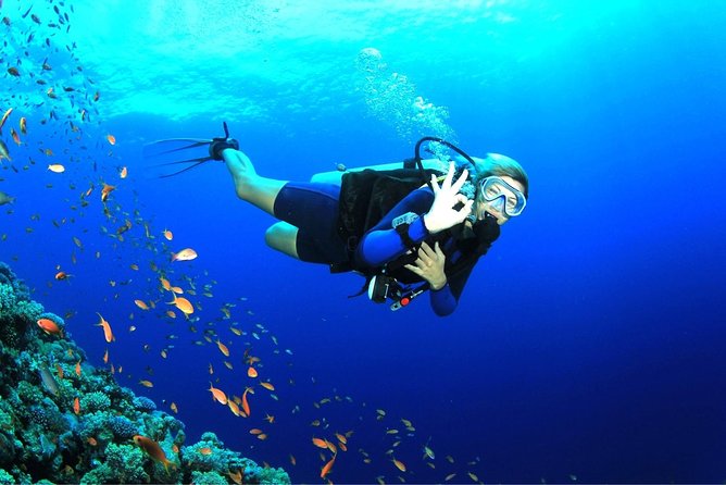 Dive at Tulamben Bali USS Liberty Ship Wreck - What’s included, what’s extra, and why that matters for value