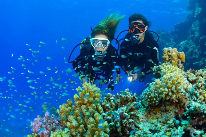 Dive at Tulamben Bali USS Liberty Ship Wreck - Who should book this USS Liberty outing