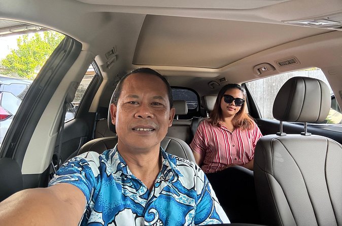 Eco Friendly Premium Electric Vehicle Airport Transfers - Who This Bali Airport Transfer Fits Best