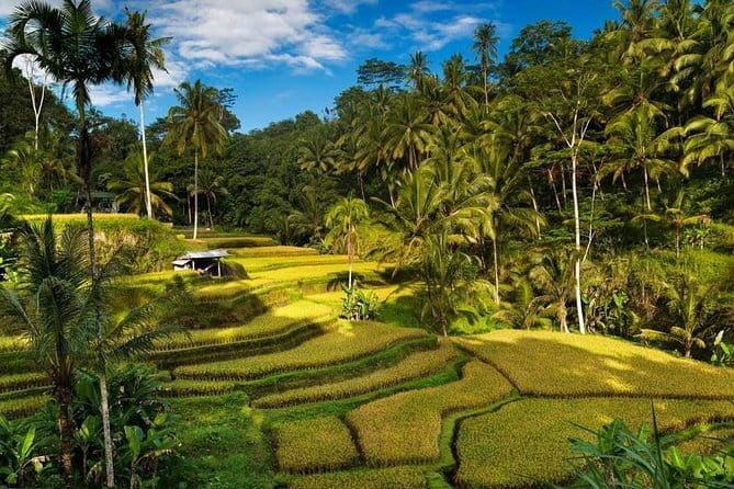 Exploring Bali in 3 Days: Discover Top Places in Bali - Key highlights worth prioritizing