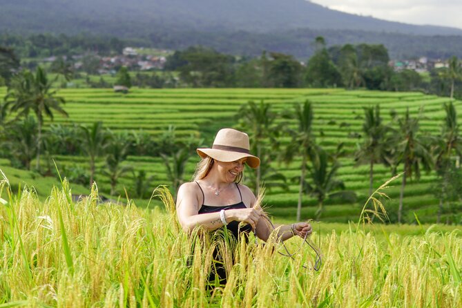 Exquisite UNESCO World Heritage Sites in Bali - Jatiluwih rice terraces: walking terrain for hikers and photographers