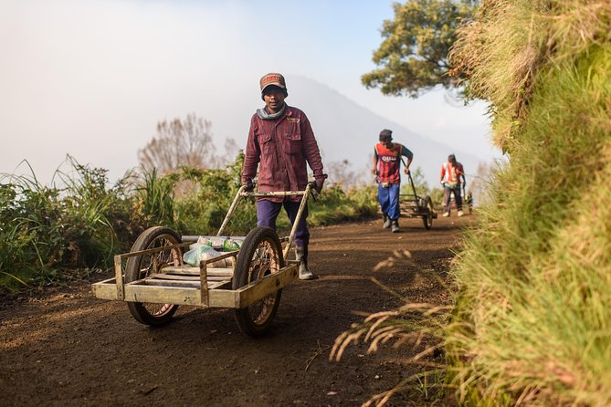 From Bali : Bromo & Kawah Ijen – 3-Day Adventure - Ijen at 1:00 AM: Blue Fire, a Mask, and a Dark Crater Hike