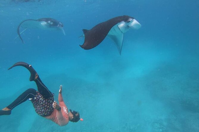 Full Day Nusa Penida Manta Point Snorkeling and West Island Tour - Lunch and included extras that make the price work