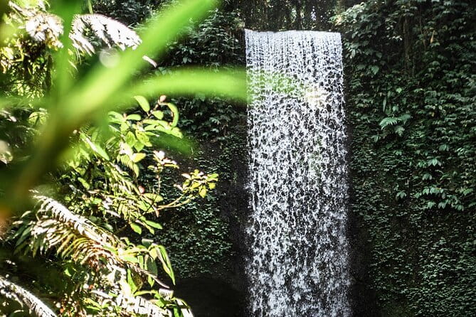 Full Day Private Tour All Inclusive Hidden Gems Bali Waterfall - Private Driver Guidance, and Why It Changes the Day