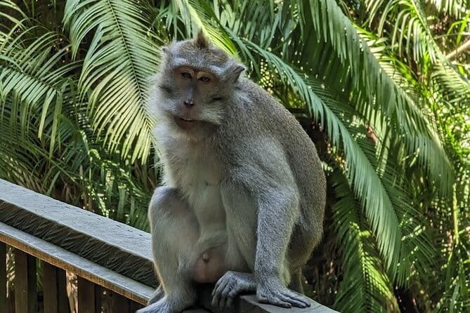 Full Day Private Tour to Ubud Waterfall and Uluwatu Sunset - A Full Day From Seminyak: Why This Route Makes Sense