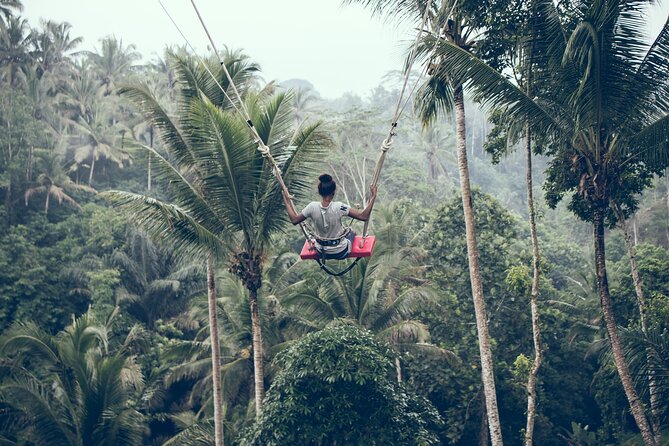 Full day Tour to Best of Ubud with jungle swing - Why this Ubud day works, even if you hate planning