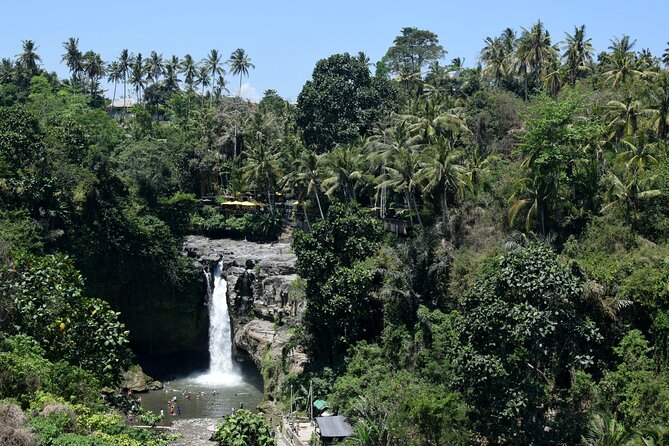 Full day Tour to Best of Ubud with jungle swing - Tegenungan Waterfall: 20 meters, swimming, and a simple plan for comfort