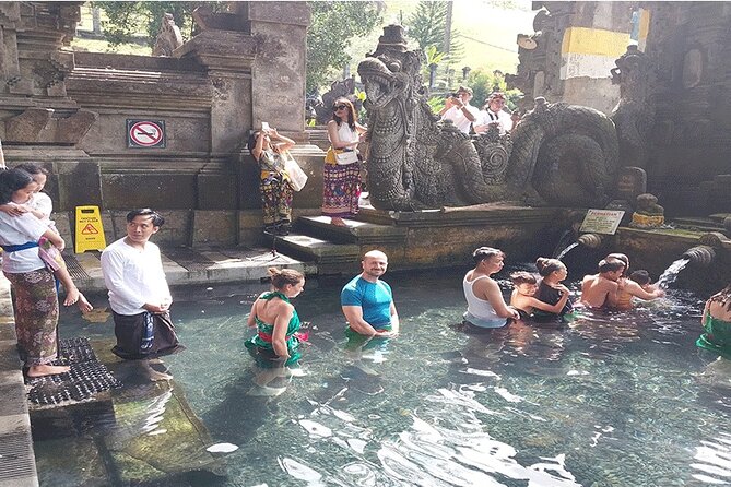 Full Day Ubud Tour - Tegalalang Rice Terrace and the subak irrigation view
