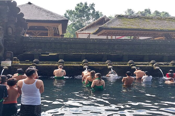 Full Day Ubud Tour - Happy Swing Bali jungle swing: the photo moment with a cost