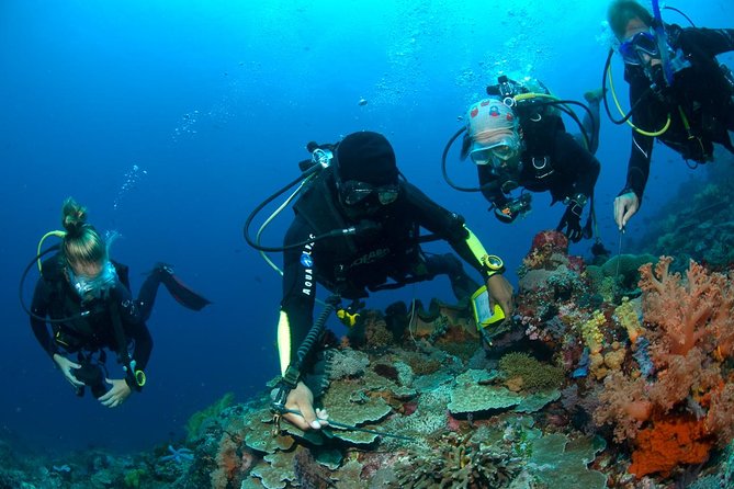 Fun Diving Tulamben Bali - For Certified Divers - Seminyak to Tulamben: your early start and the ride worth taking