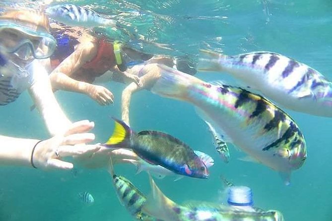 Gate Heaven Tirta Gangga With Snorkeling Private Guided Tour - Getting to the water from Seminyak without wasting your day