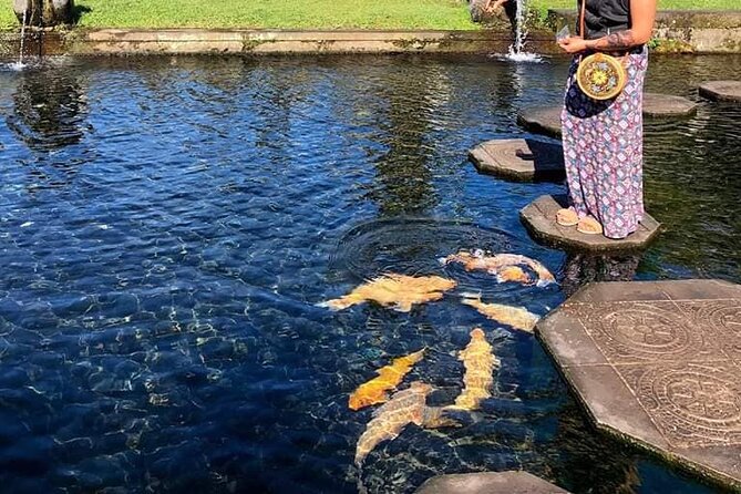 Gate of Heaven Tour With Guide : All-Inclusive Best Experience - Who should book this private Gate of Heaven and East Bali water-gardens tour