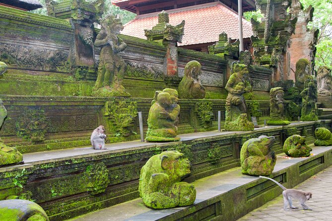 Goa Gajah / Elephant Cave Temple And Ubud Tour - All Inclusive - Stop 4: Lunch at d’Alas Warung with jungle views
