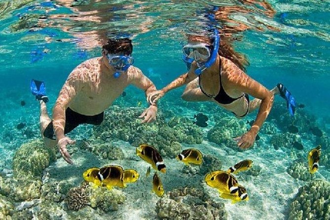 Heaven Gate (Lempuyang) - Tirta Gangga - FREE WIFI - Padangbai and Snorkeling Time: A Coastal Reset