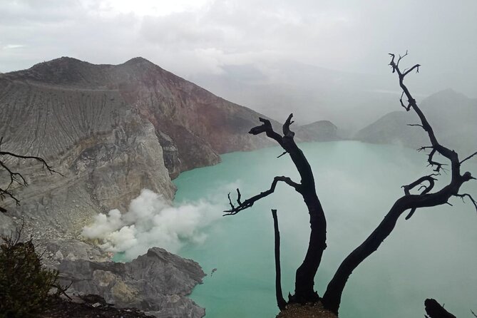 Ijen Crater Private Guided Trekking Tour From Bali - Meals, room, and the reality check on comfort