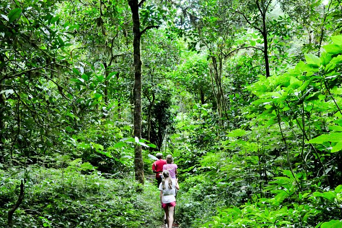 Jungle Trekking and Tamblingan Lake Canoeing in Bali Rainforest - What to Wear and Bring: Smart Casual and Real Jungle Notes
