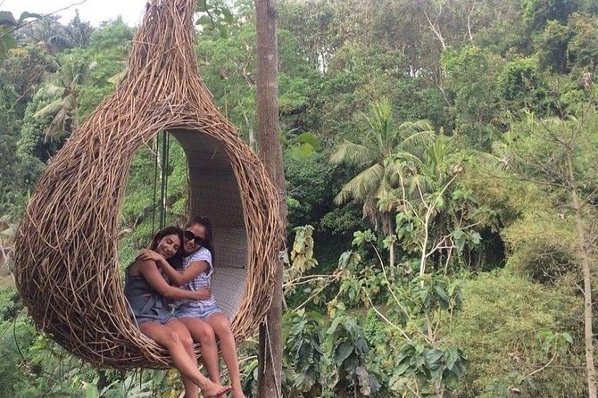 Magic Of Ubud Temple Swing And Waterfall Private Guided Tour - Tegalalang rice terraces: scenic views plus your lunch window