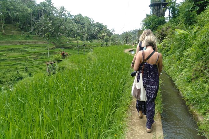 Magic Of Ubud Temple Swing And Waterfall Private Guided Tour - Ulu Petanu Waterfall: green views and a reset between temple and village