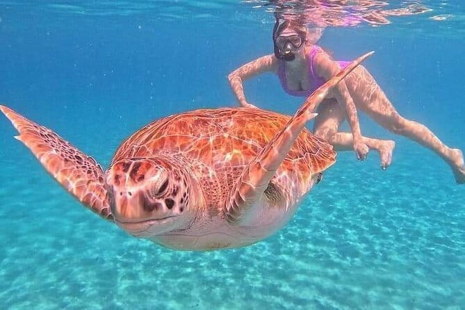 Monkey Bar and snorkling adventure at blue lagoon. - Blue Lagoon snorkeling: coral, fish, and a time-boxed private boat session