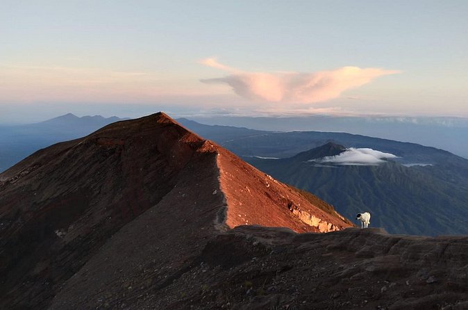 Mount Batur Sunrise Trekking, Hot Springs & Lunch at Restaurant - Lunch at Batur Sari (AKASA) and the Amora listing: what to expect