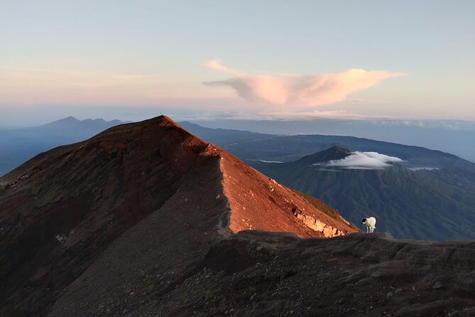 Mount Batur Sunrise Trekking, Hot Springs & Lunch at Restaurant - Should you book this Mount Batur sunrise trek plus hot springs and lunch?