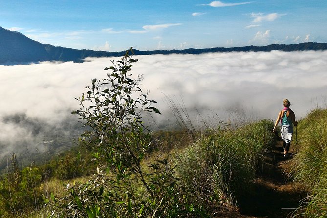Mount Batur Sunrise Trekking Option - Coffee plantation visit at Satria Agrowisata, and the Luwak payment detail