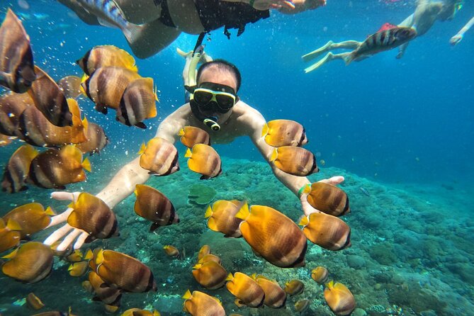 No:#1. Penida Island Tour And Snorkeling With Manta - The underwater photographer and how to get good shots