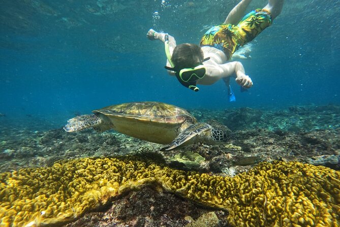 No:#1. Penida Island Tour And Snorkeling With Manta - Lunch on Penida: the small comfort that saves the day