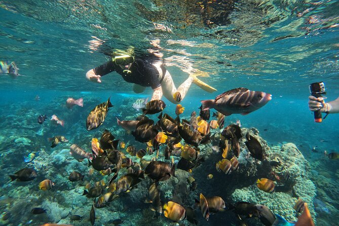 Nusa-Penida customize Tour - All inclusive - Crystal Bay and snorkeling: optional on paper, real-world conditions apply