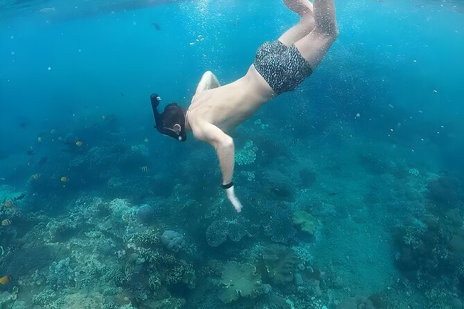 Nusa Penida Island Beach Tour With Snorkeling - Departure From Bali Island - Price and value: what $120 includes and what to judge against
