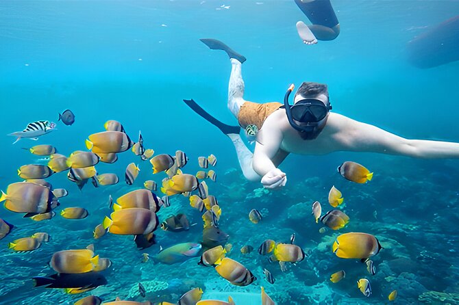 Nusa Penida Island Beach Tour With Snorkeling - Departure From Bali Island - Crowd and traffic realities you should plan for